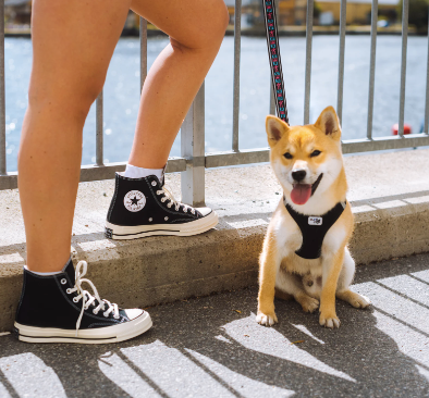 THE QR CODE OF YOUR CONVERSE LEADS TO VMDMX? Have to know this