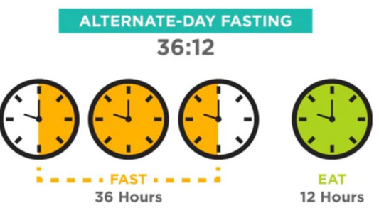 Ayuno en días alternos: La guía definitiva para principiantes sobre la pérdida de peso efectiva.