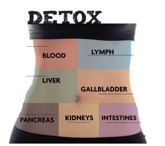 Detoxify with Intermittent Fasting