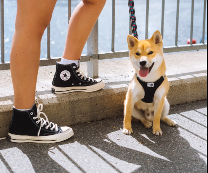 DER QR-CODE IHRES CONVERSE FÜHRT ZU VMDMX? MUSS DAS WISSEN