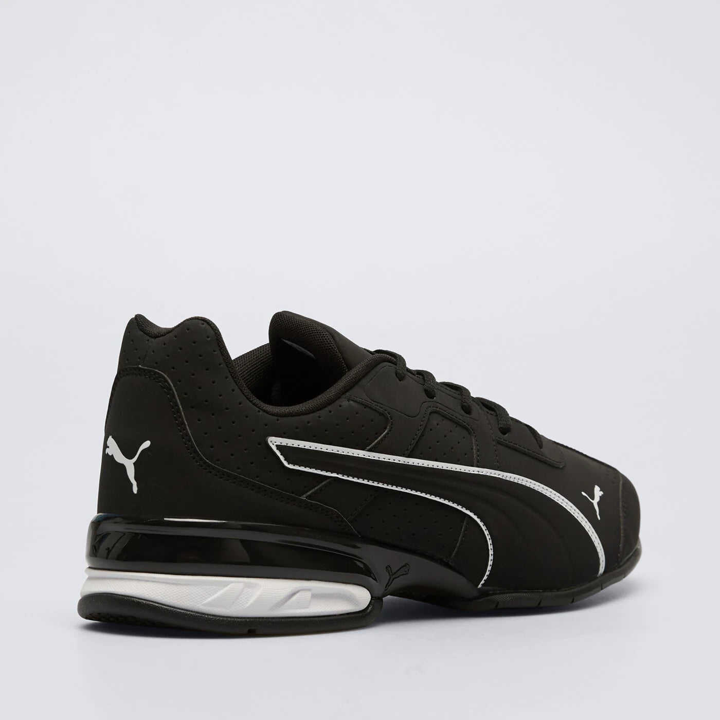 Tenis Puma Tazon 7 Evo