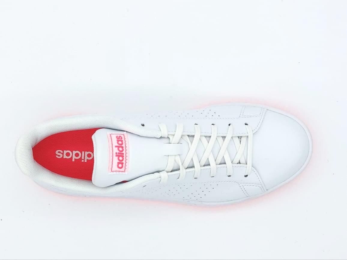 Oferta de Tenis Adidas Advantage Blanco/Rosa Para Dama con envío gratis- SPORTLAND MX