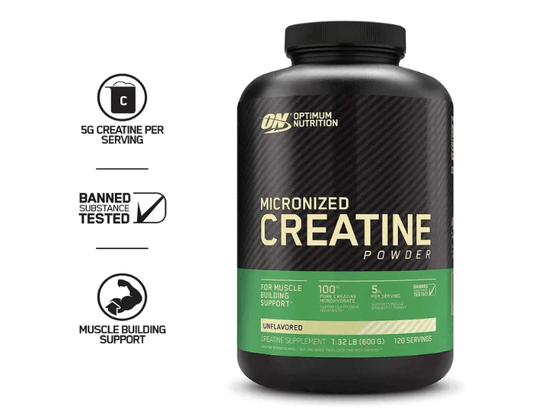 Optimum Nutrition Micronized Creatine Monohydrate: Zusammensetzung, Wirksamkeit und Vorteile