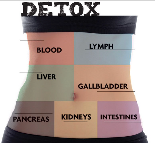 Ayuno Intermitente Detox: La Ciencia de Cómo Desintoxicar y Limpiar tu Cuerpo